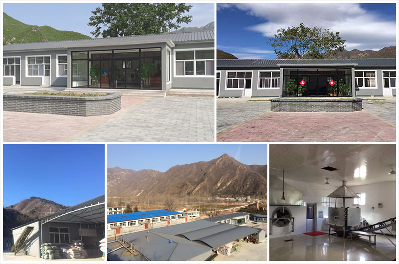 河北龍云嶺食品有限公司